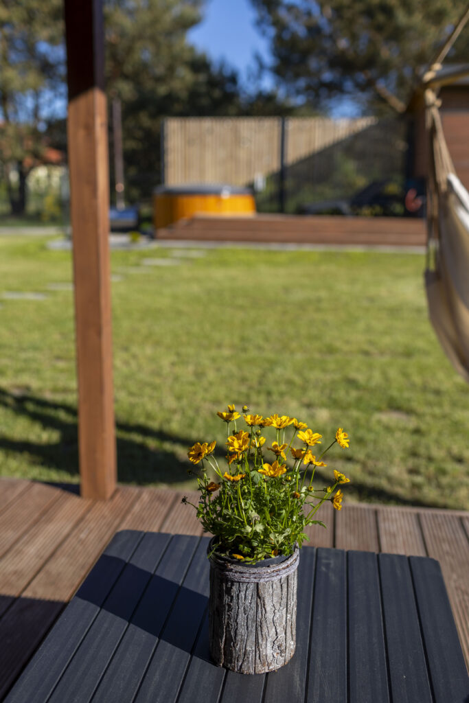 Widok z balkonu z kwiatkami na stole.